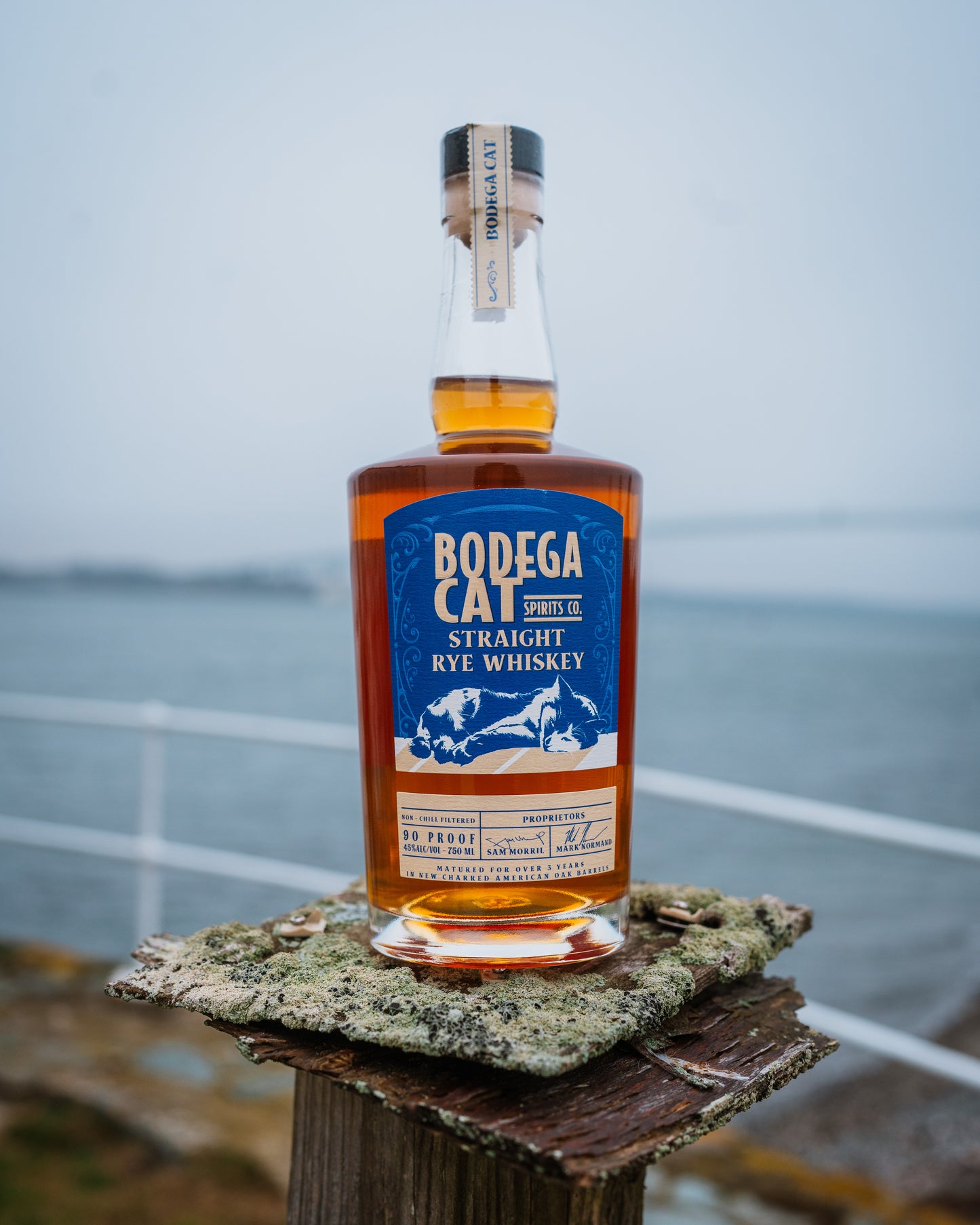 Bodega Cat Straight Rye Whiskey 750ML | 90pf 45% abv