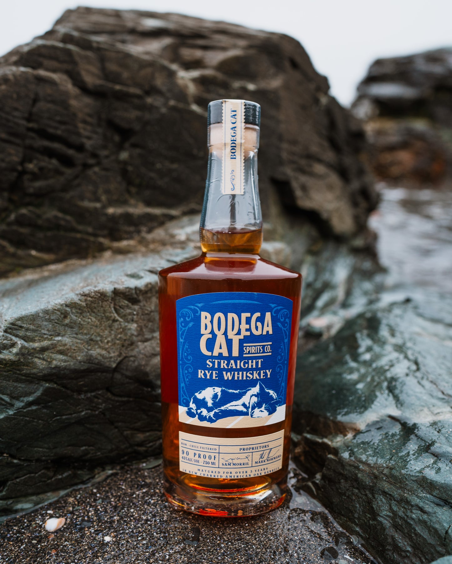 Bodega Cat Straight Rye Whiskey 750ML | 90pf 45% abv