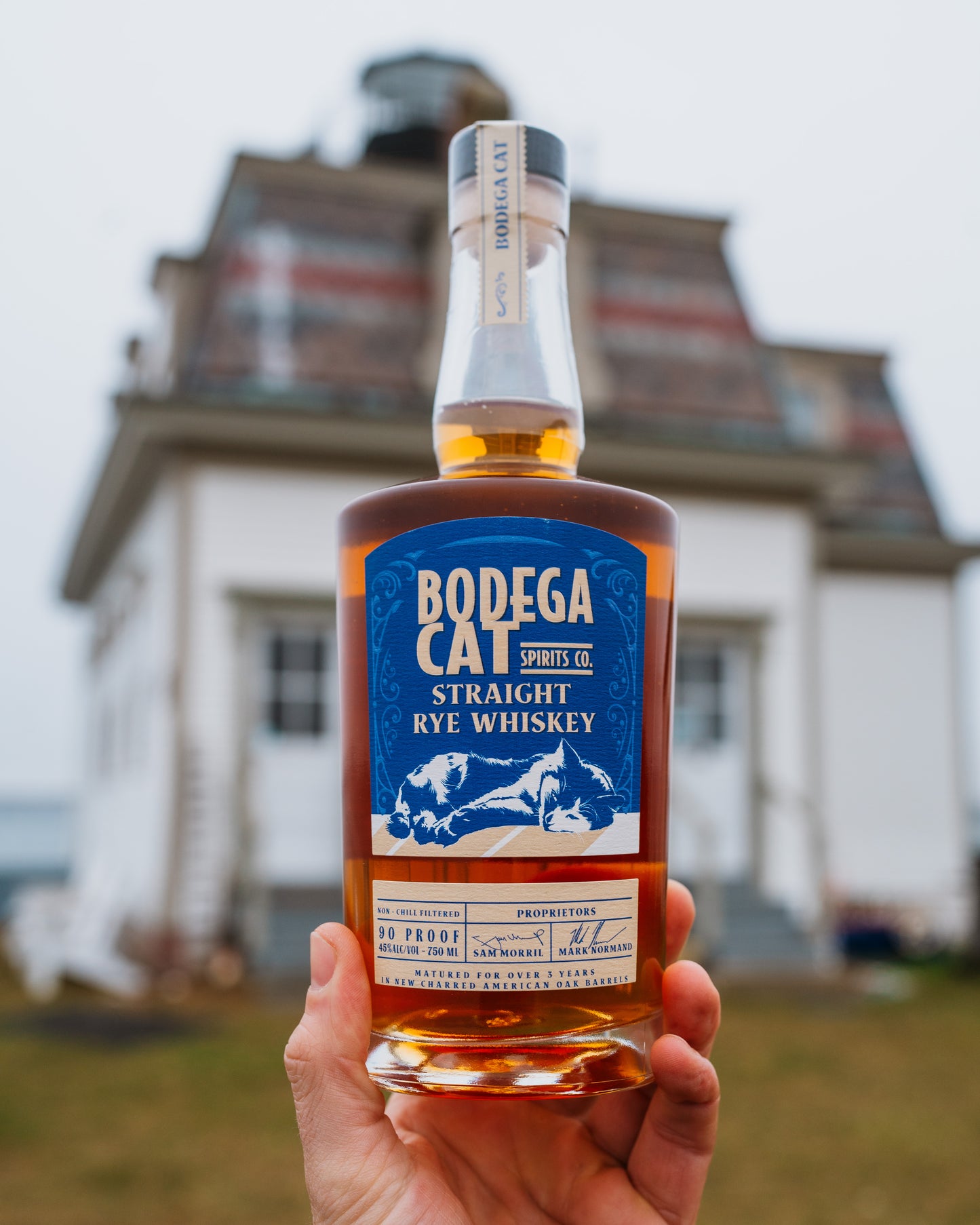 Bodega Cat Straight Rye Whiskey 750ML | 90pf 45% abv